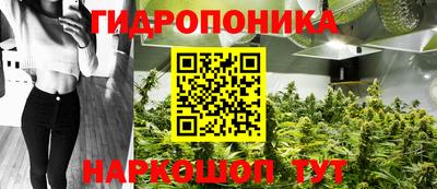 ECSTASY Славгород