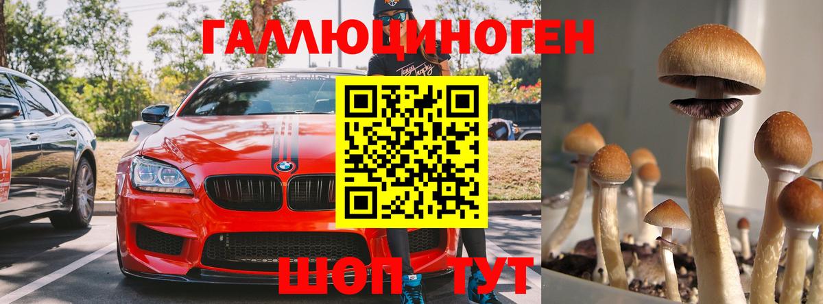Галлюциногенные грибы GOLDEN TEACHER  Вход с VPN  Рассказово 